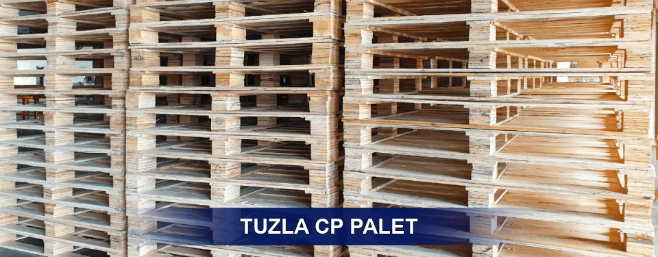 Tuzla Standart Tipler