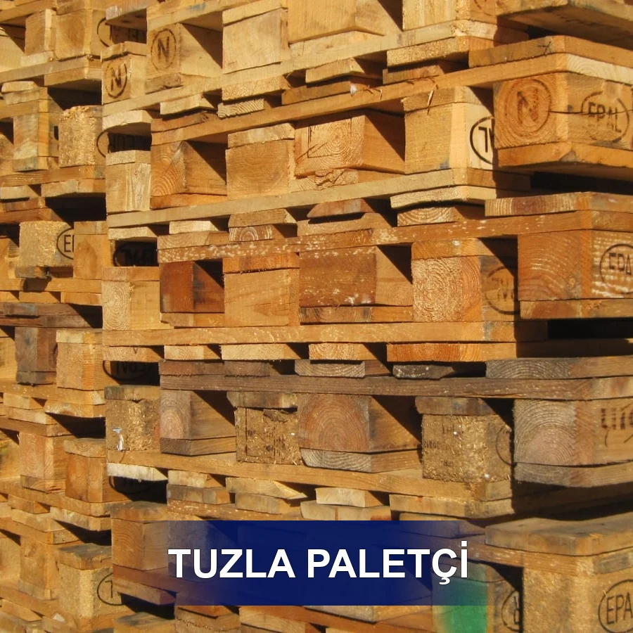Tuzla Paletçi
